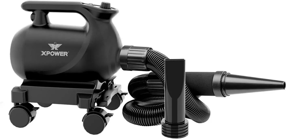 A-12 avec station, professionnel, XPOWER, mobile